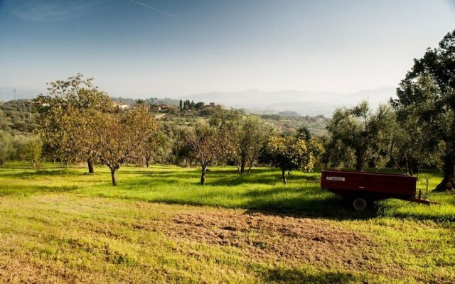 Podere Scaluccia