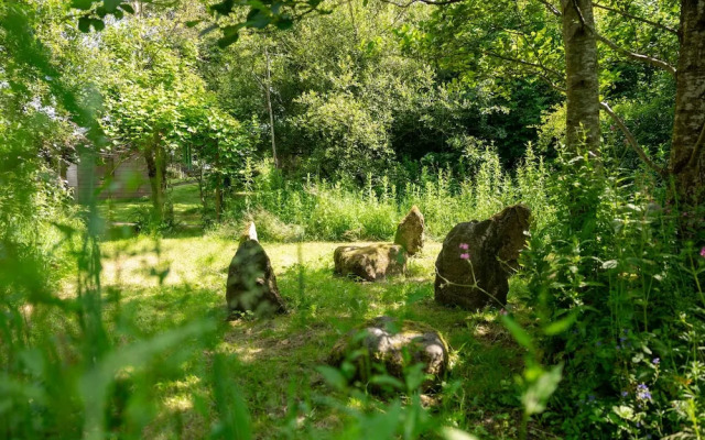 Willow at Gorslwyd - Sound Retreat