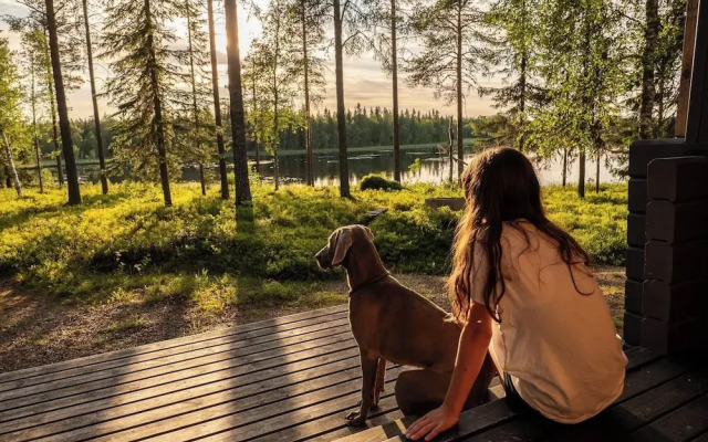 Metsä Kolo