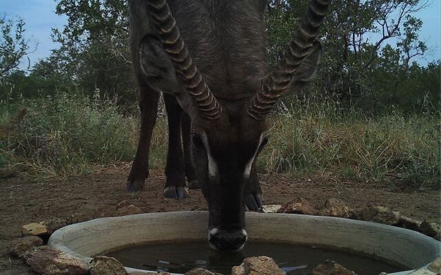 The Baobab Bush Lodge