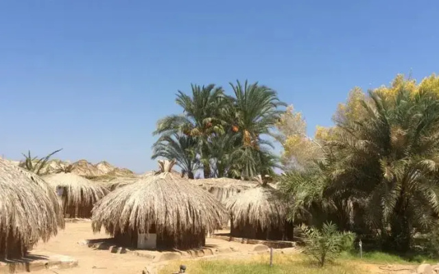 Sababa Camp