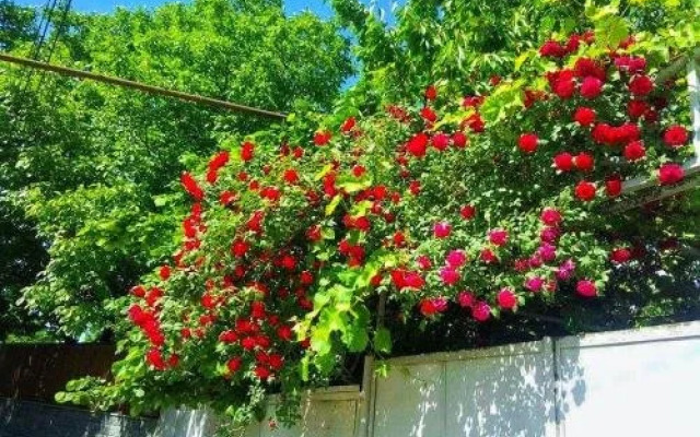 Saguramo Guest House