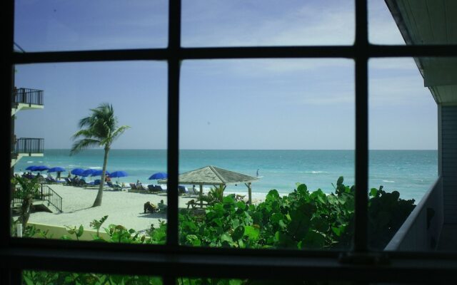 Coquina On The Beach