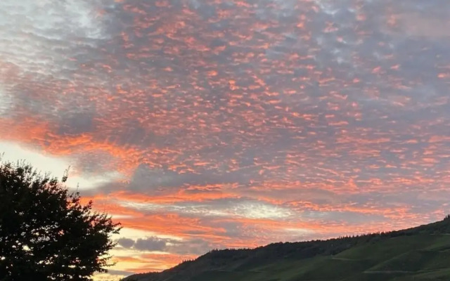 Uitzicht op de Wijngaard