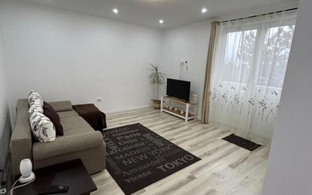 Petrosani Apart