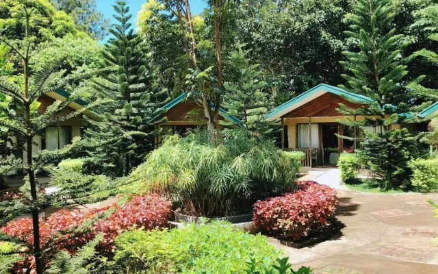 Ted's Bed and Breakfast