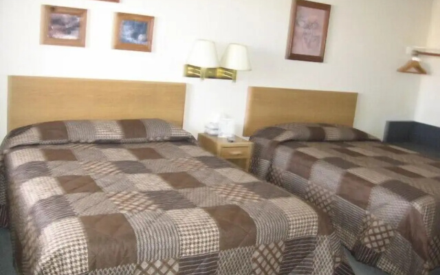 Little Bear Motel