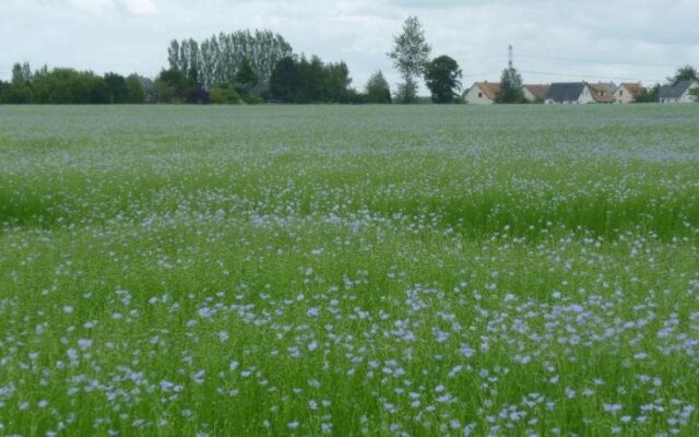 Chambres dHôtes La Bonne Famille
