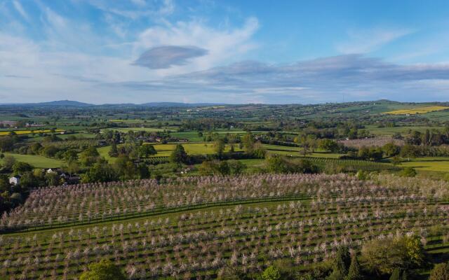 Dragon Orchard Retreat