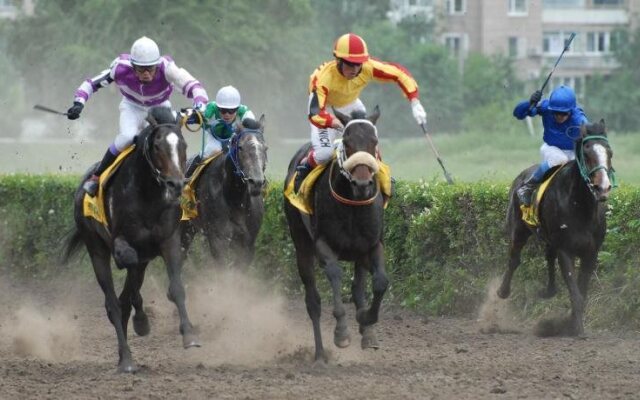 Южный город