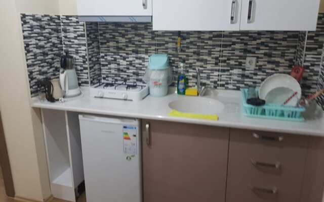 Luxury Home Aydin Gunluk Ev