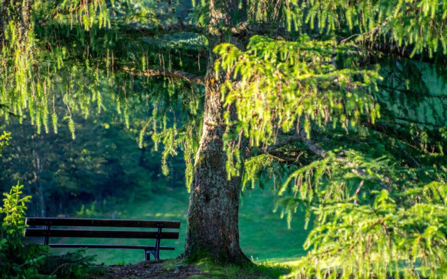 Relais du Silence les Buttes
