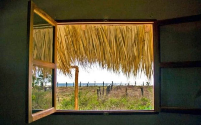 Wild Waves Surf-House