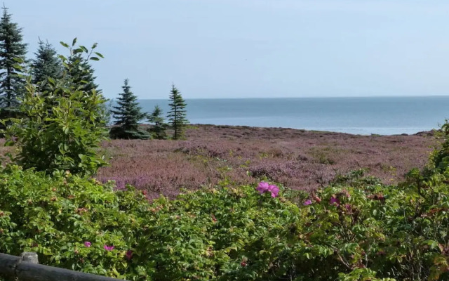 Schatz Comfortable Holiday Residence