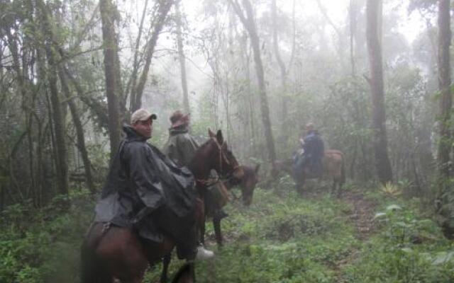 Finca Los Arboles