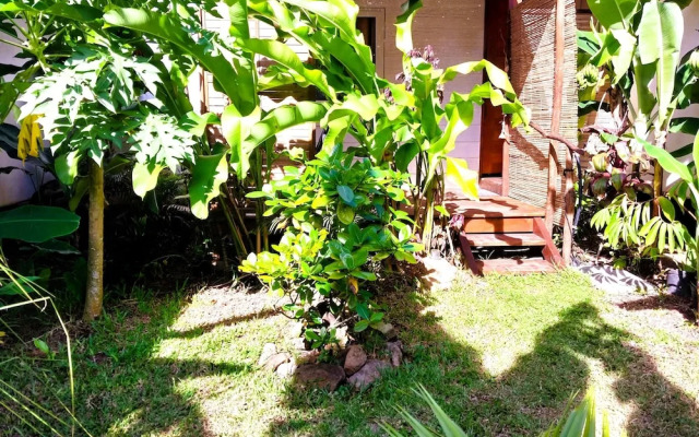Moorea - Tropical Nest