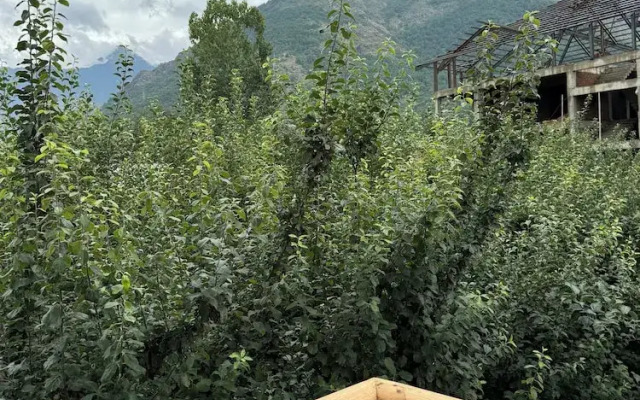 Shesh Bagh Boutique Homestay