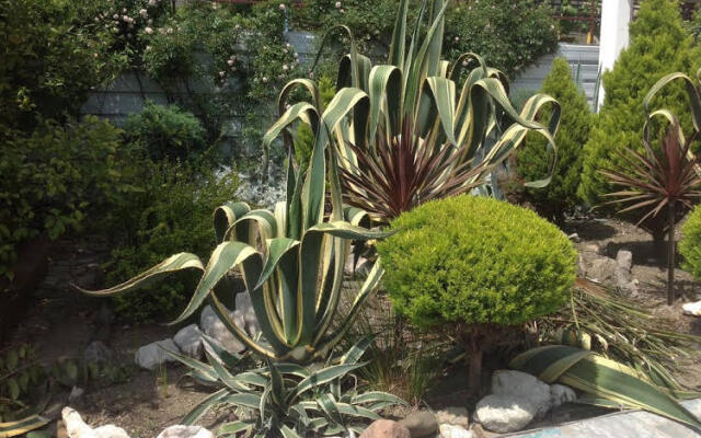 Guest House Viktoria