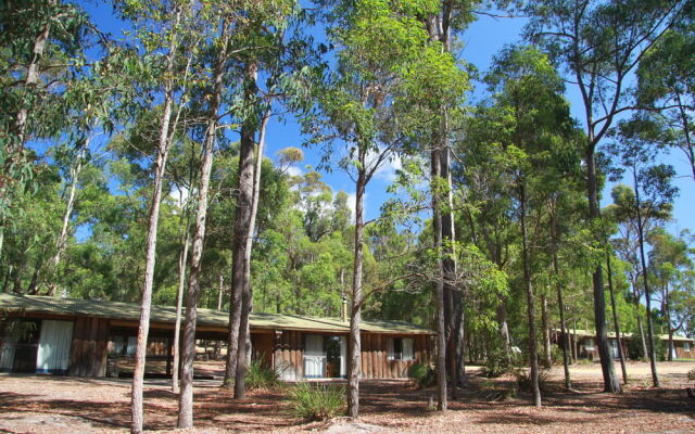 Woodbine Park Eco Cabins