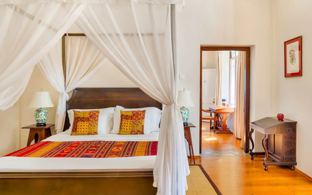 Dickoya by Zinc Journeys