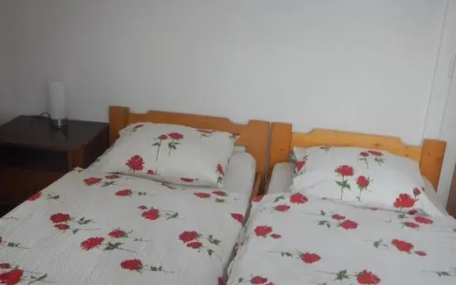 Apartament Providentia Zakopane Witkiewicza 3