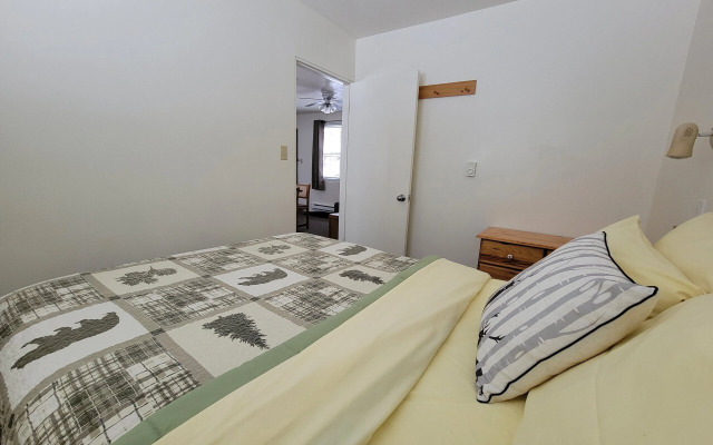 Mountain Springs Motel