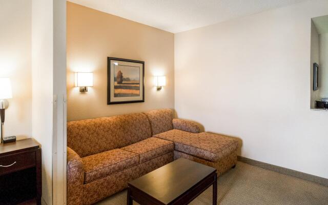 Comfort Suites DFW North/Grapevine