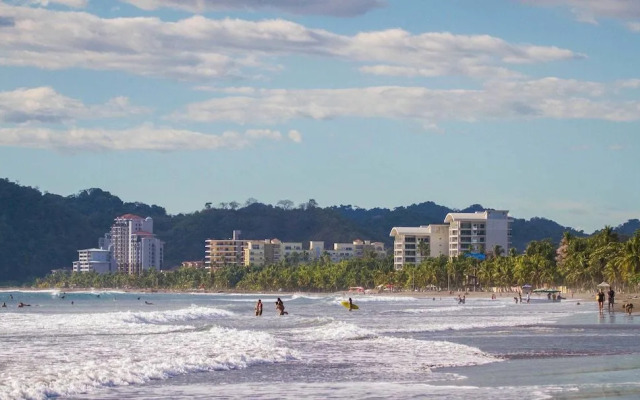 Bird of Paradise Hotel