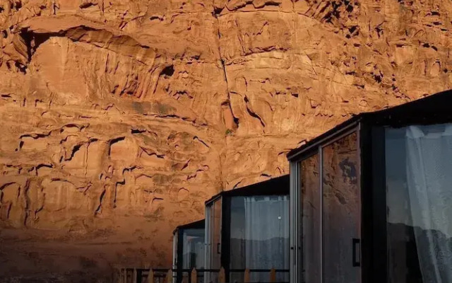 Desert tree camp