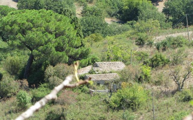Agriturismo San Pietro
