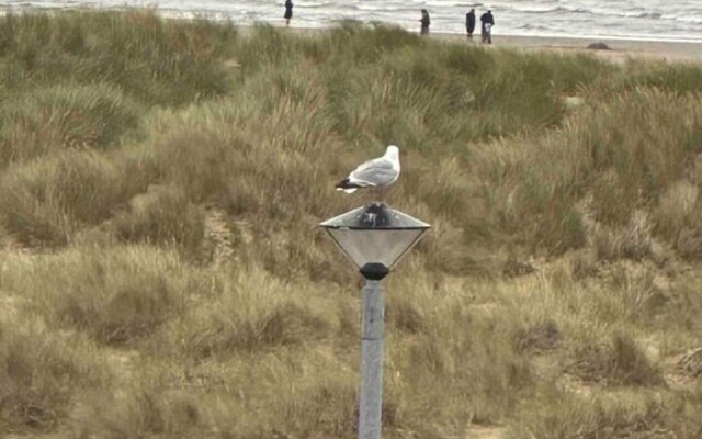 Remarkable 1-bed Seaview Beach Apartment Barmouth