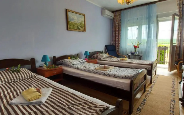 Guest House Dunavski Raj