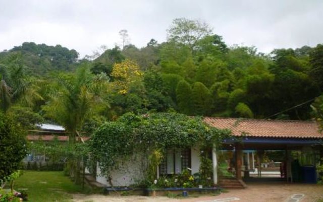 Orquideas del Tolima