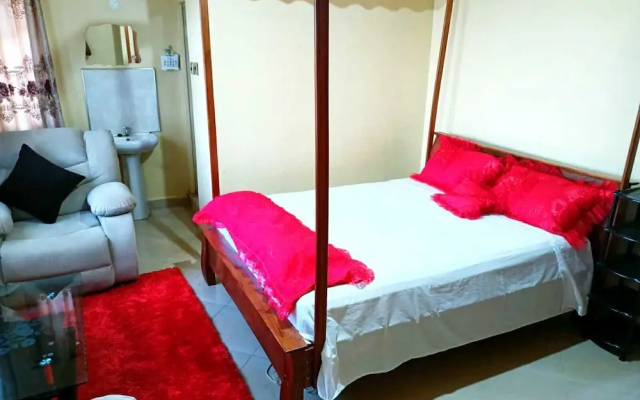 Beautiful and Spacious House in Thika, Kenya