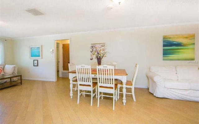 Angelfish Apartment 3