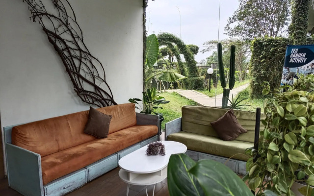 Tea Garden Resort