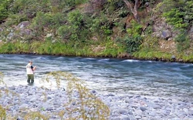 Turangi Trout Lodge