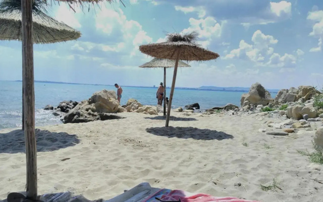Alex Beach