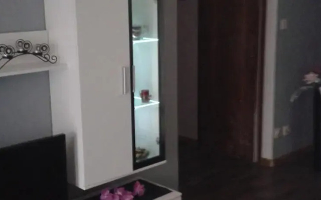 Modern Split Apartment