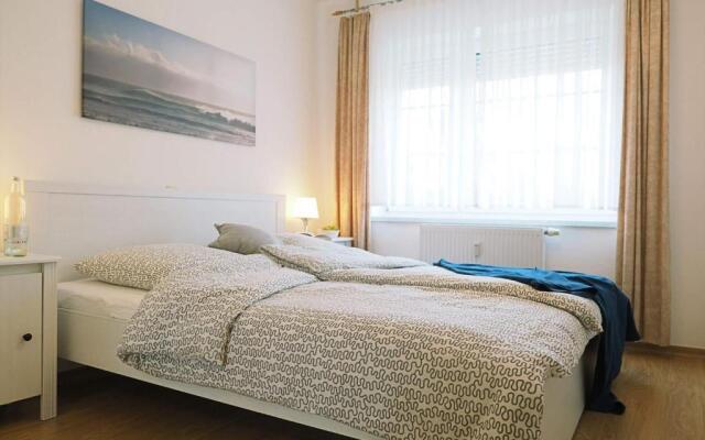 Alte Reihe 10 - Silbermöwe 2