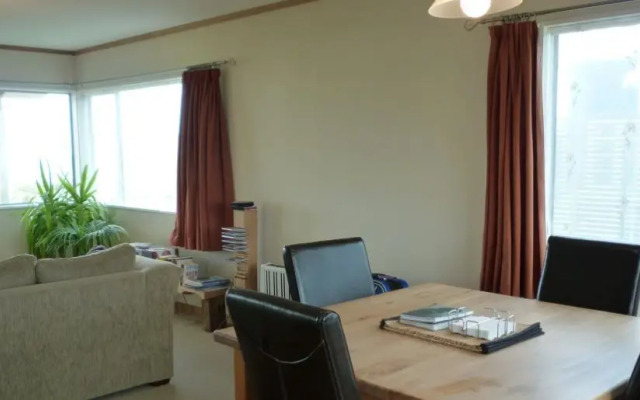 Curio Bay Accommodation