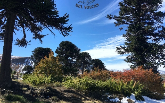 Hostería de Montaña los Duendes del Volcán