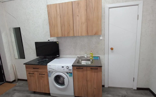 Apartments on Gorky Street 48