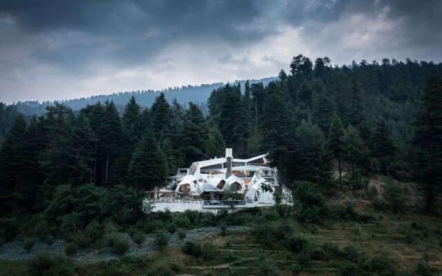 Tree of Life Eila Art Hotel