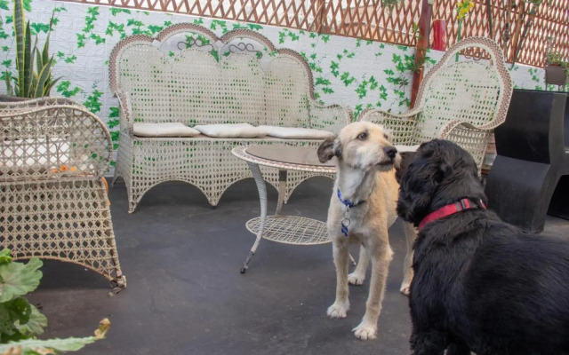 Mini apartamento Los Olivos cerca aeropuerto de Lima-Peru