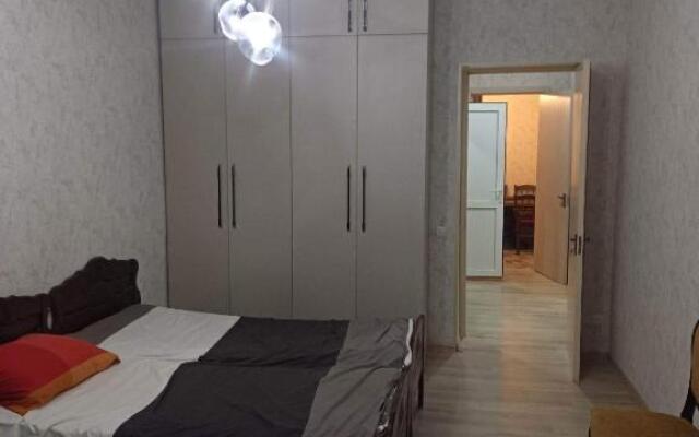 Amazing apartment in Signagi