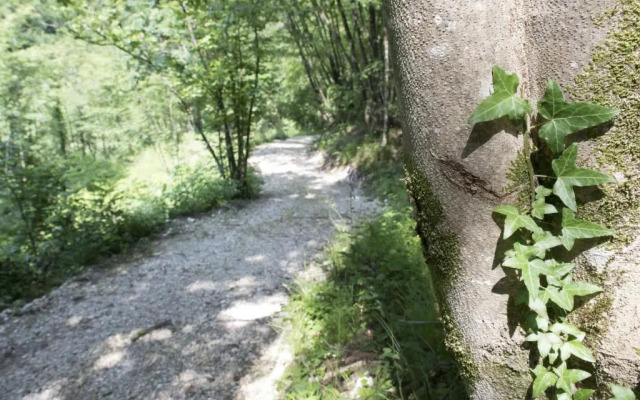 Agriturismo Maso Rocca
