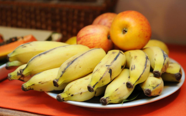 Pousada Canto do Rio