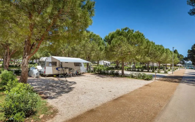 Arena Stoja Camping Homes