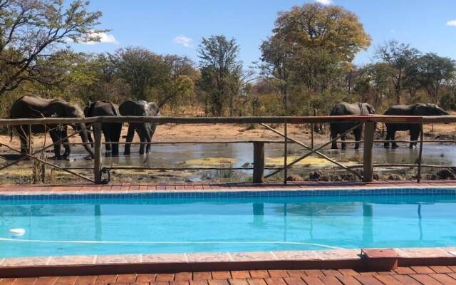 Chobe Mopani Forest Lodge & Camp site